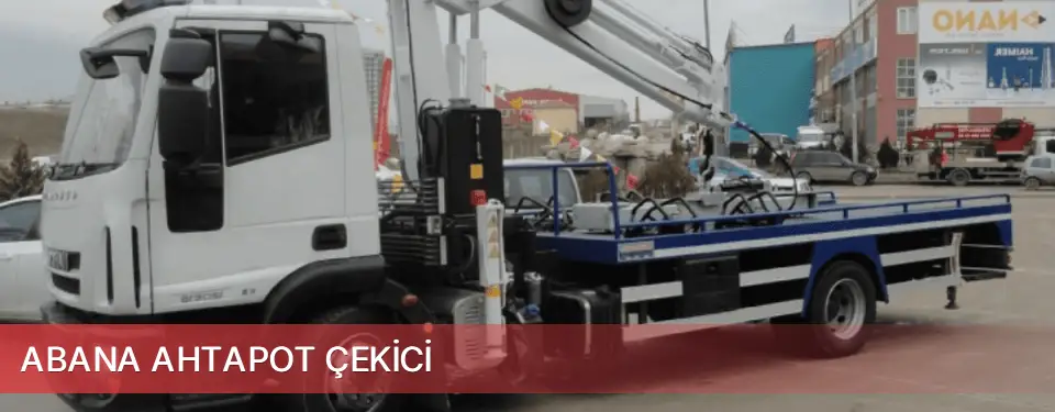 Abana İlçemi Ahtapot Çekici