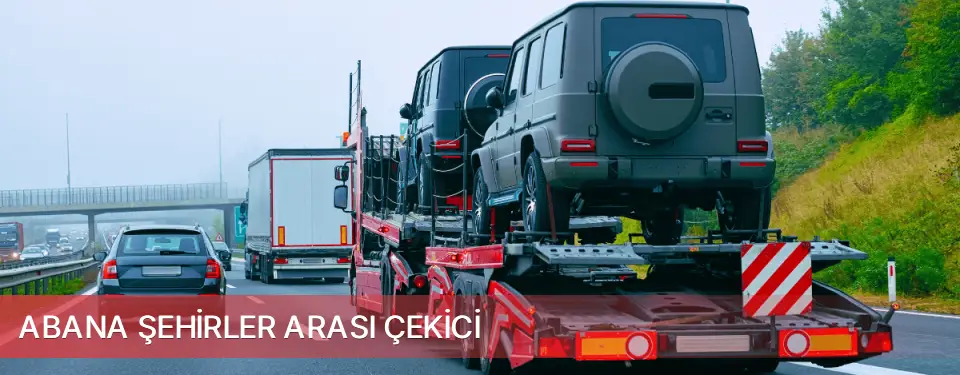 Abana İlçemi Şehirler Arası Çekici